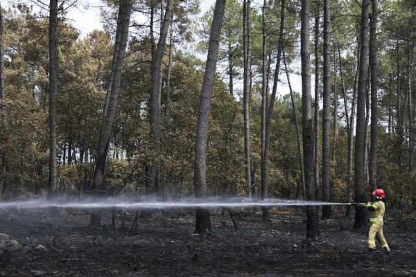 EU assistance to combat forest fires in France