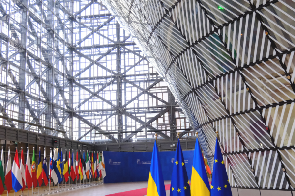 vlajky států EU na Evropské Radě - v popředí vlajky EU a Ukrajiny